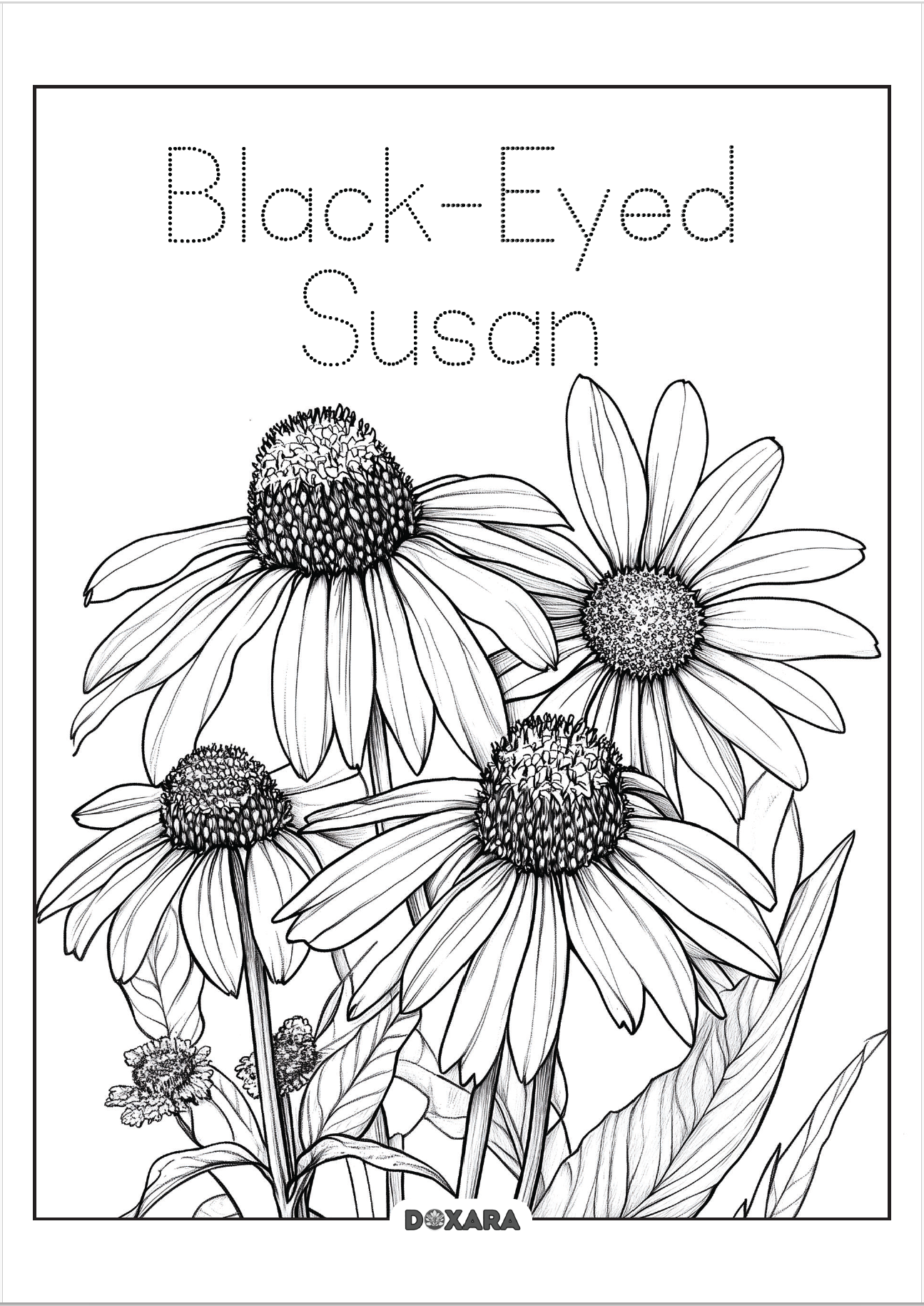 🌸 Black-Eyed Susan Coloring Sheet (10-pack)
