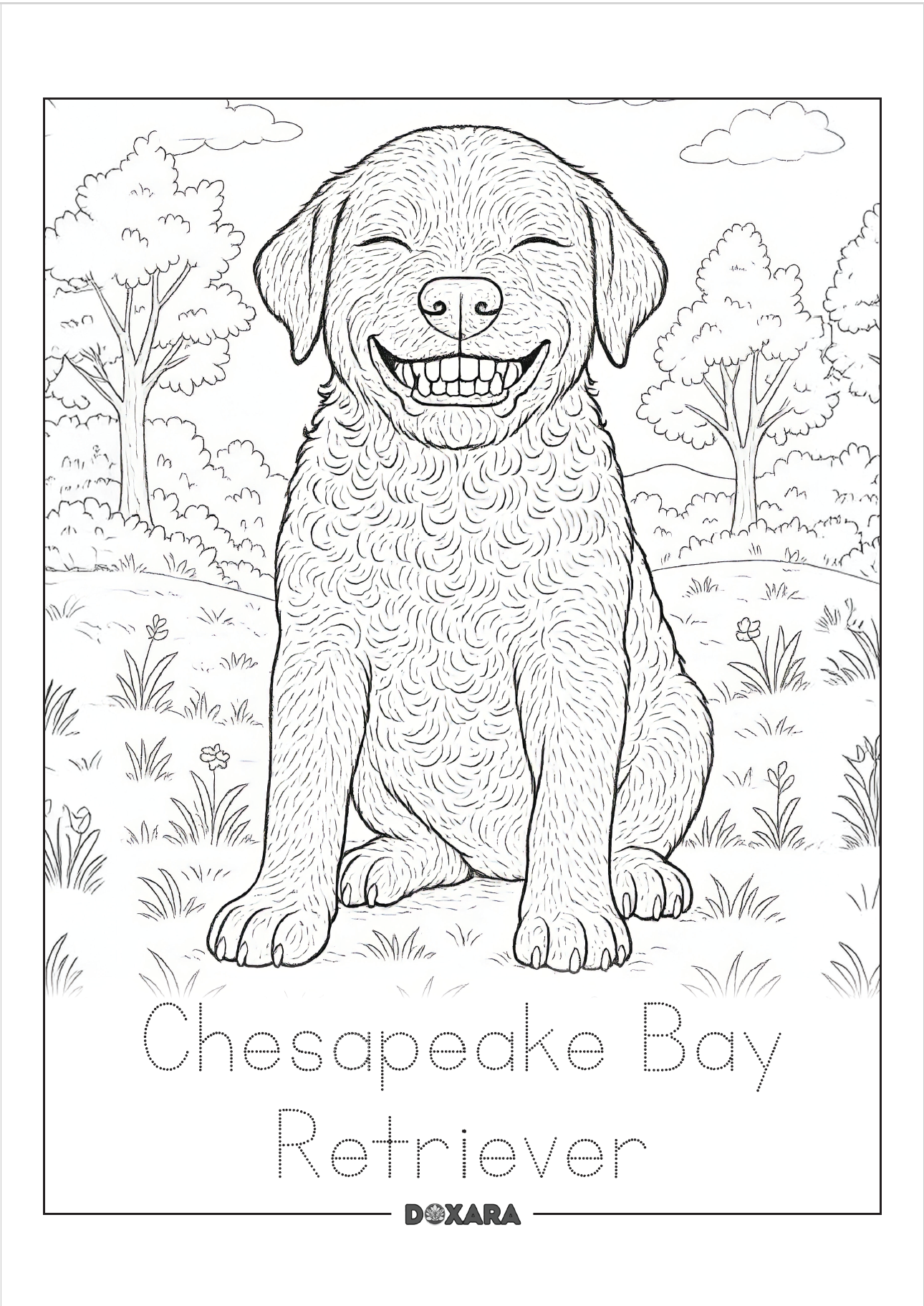 🐶 Chesapeake Bay Retriever Coloring Sheet (10-pack)