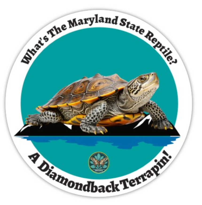 🐢 Diamondback Terrapin Sticker (10-pack)