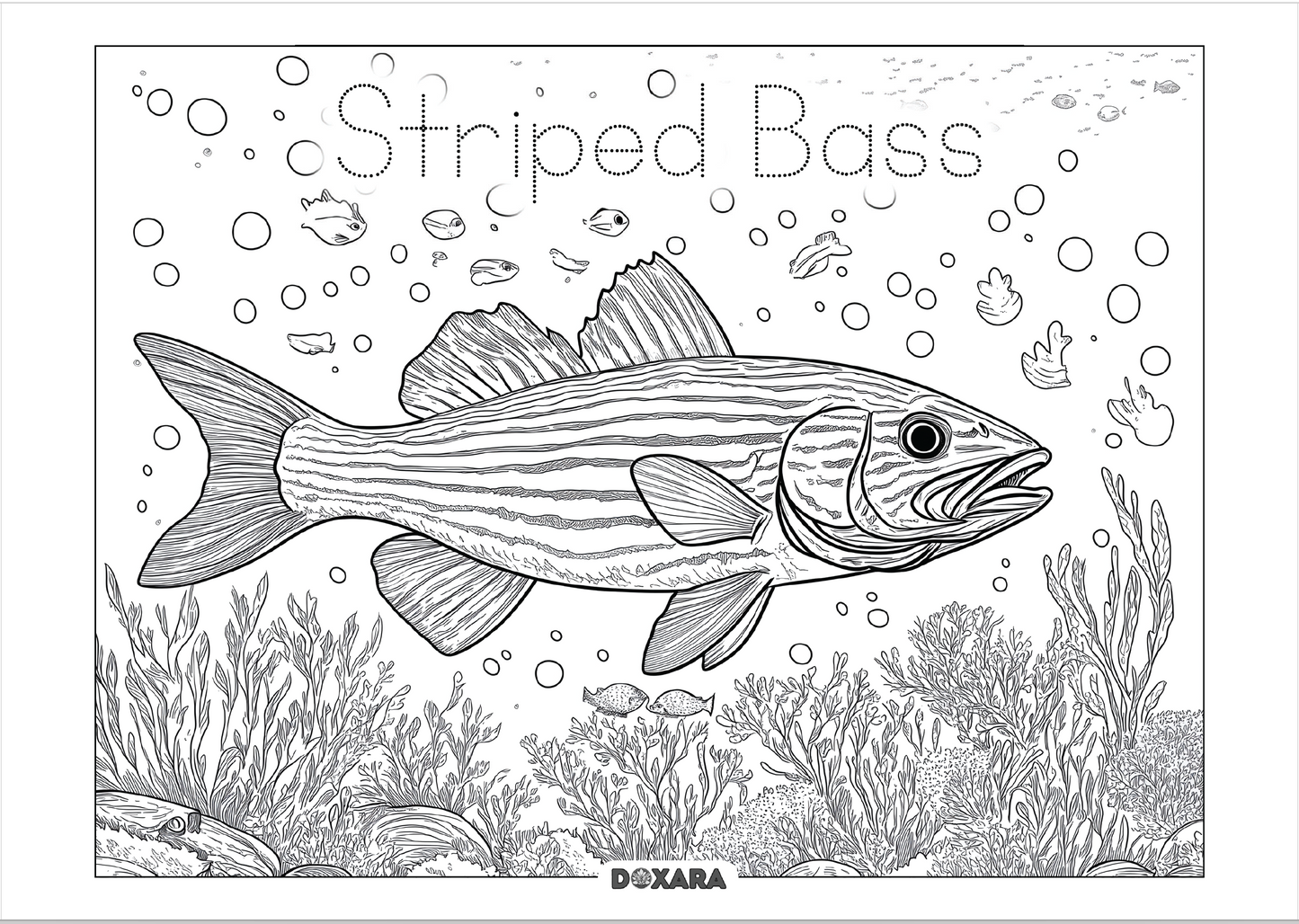 ๐ Striped Bass (Rockfish) Coloring Sheet (10-pack)