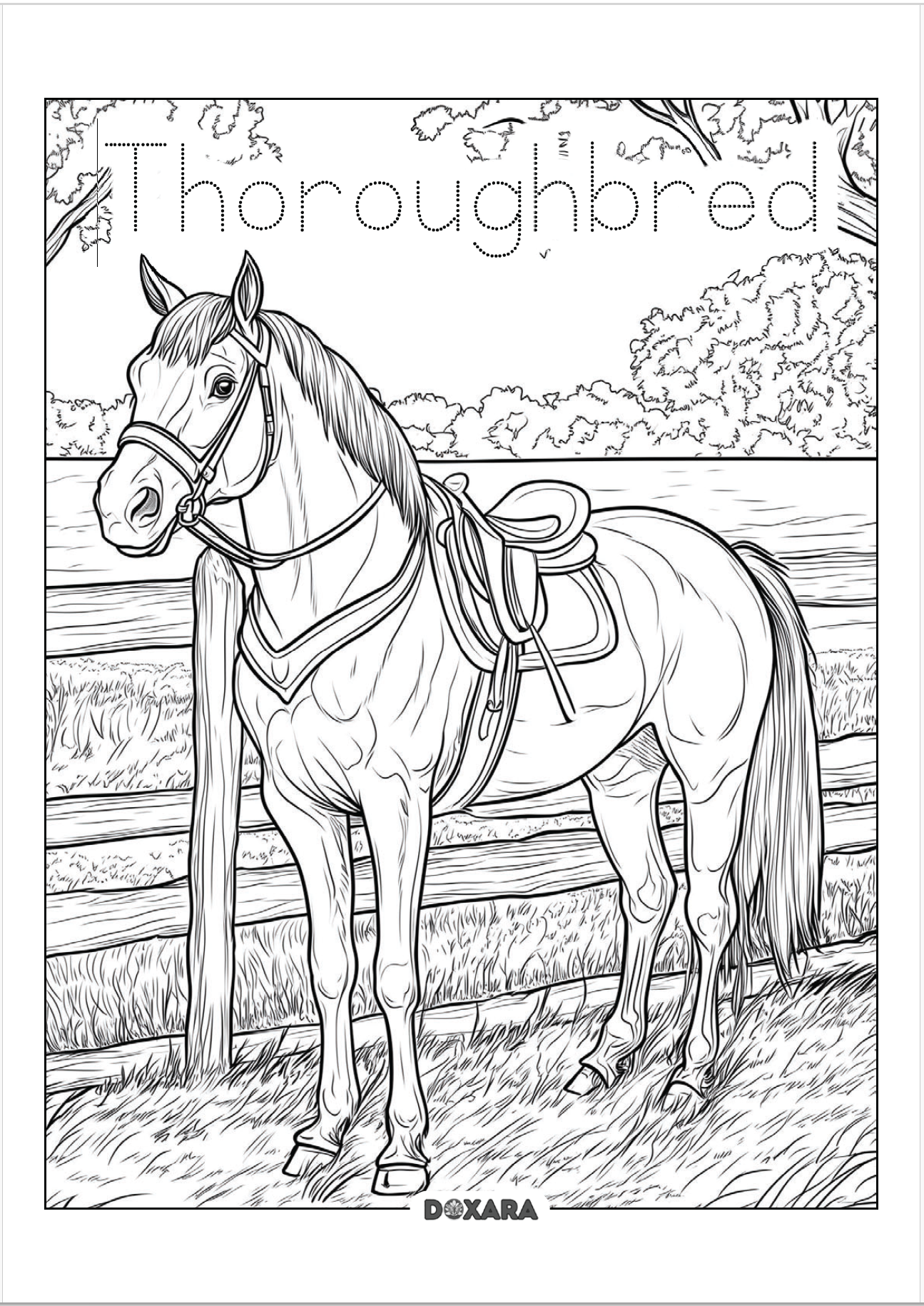🐎 Thoroughbred Horse Coloring Sheet