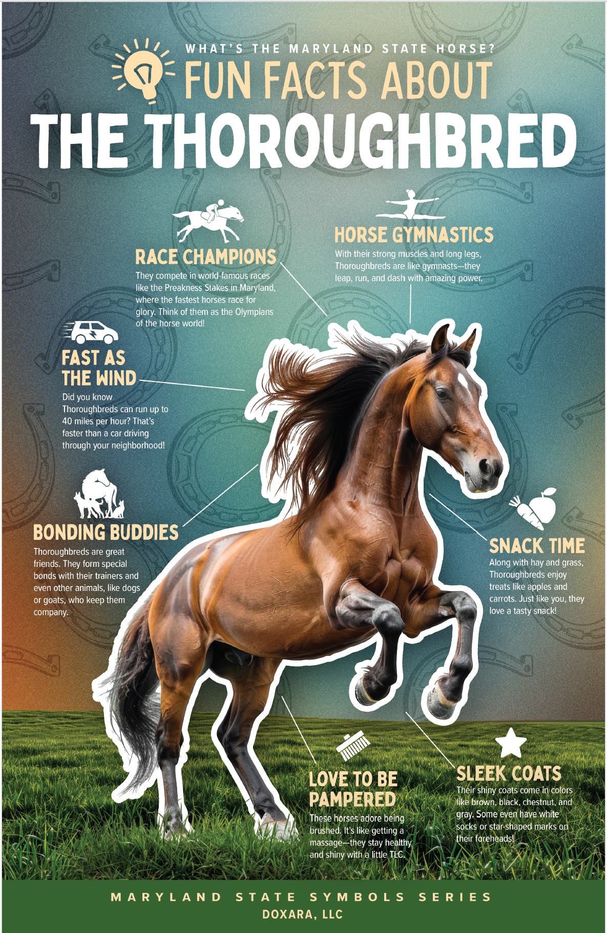 🐎 Maryland State Horse – Thoroughbred Horse Poster