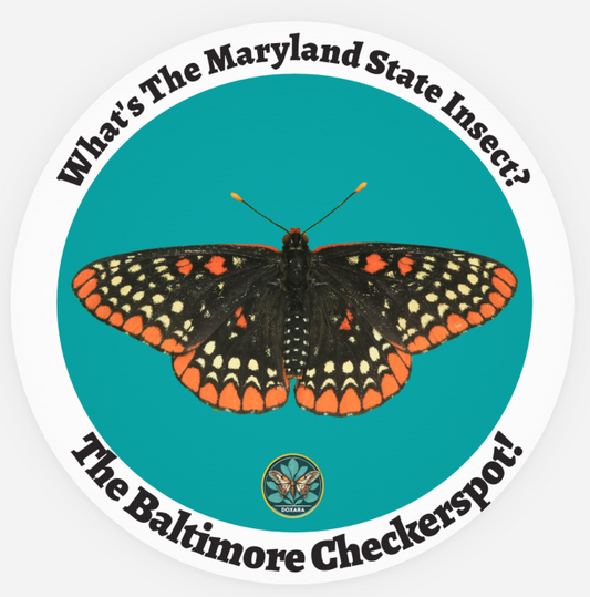 🦋 Baltimore Checkerspot Butterfly Sticker (10-pack)