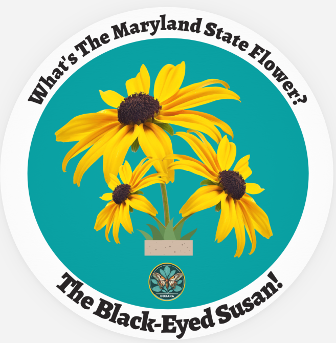 🌼 Black-Eyed Susan Sticker (10-pack) – Doxara