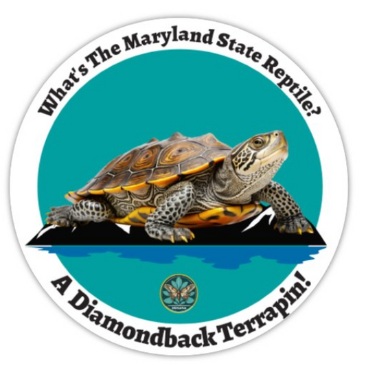 🐢 Diamondback Terrapin Sticker (10-pack)
