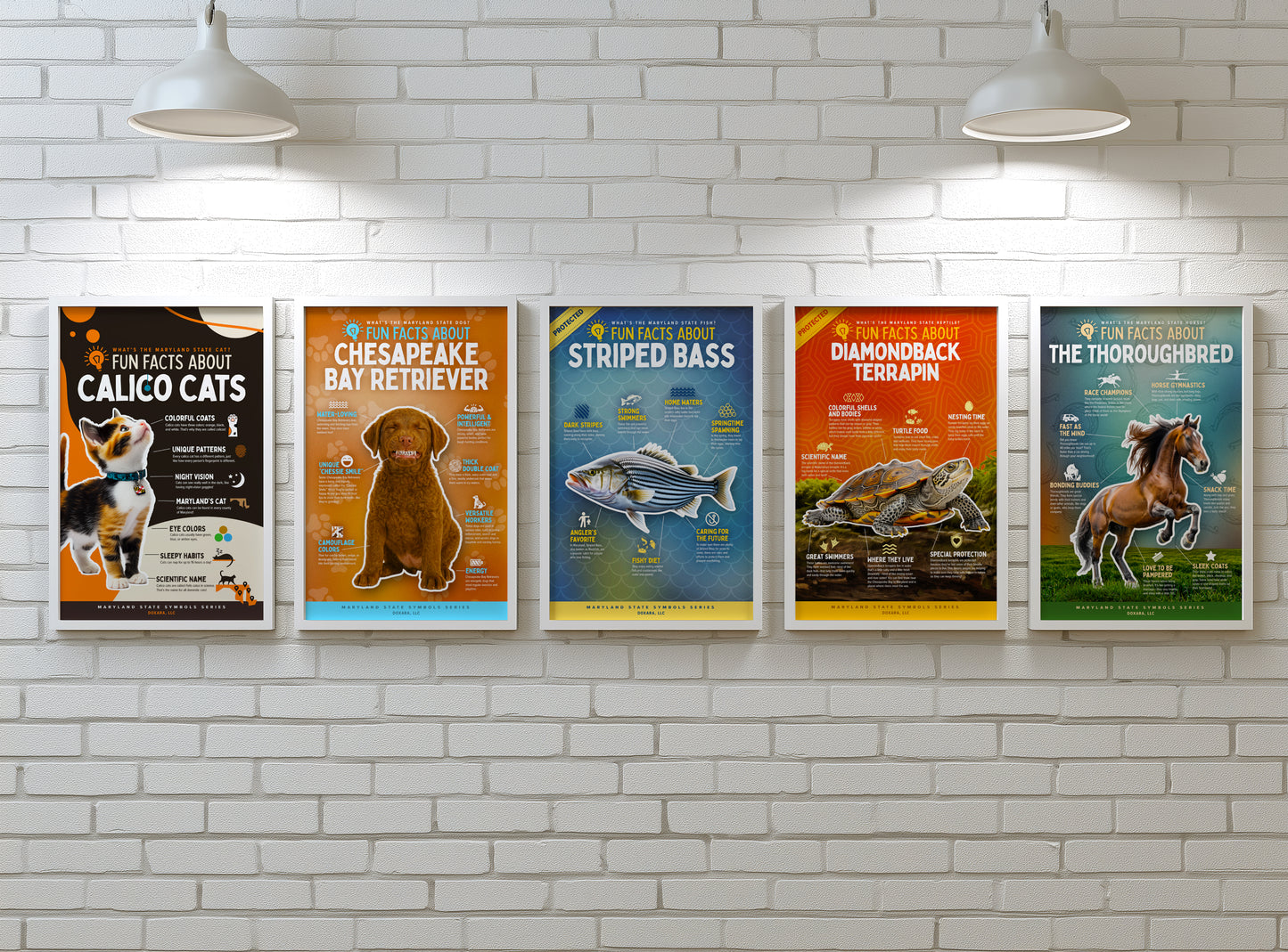 Nature, curiosity, and color—framed for your space.