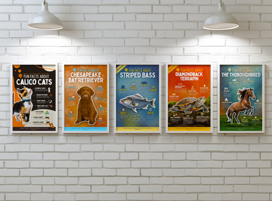 Nature, curiosity, and color—framed for your space.