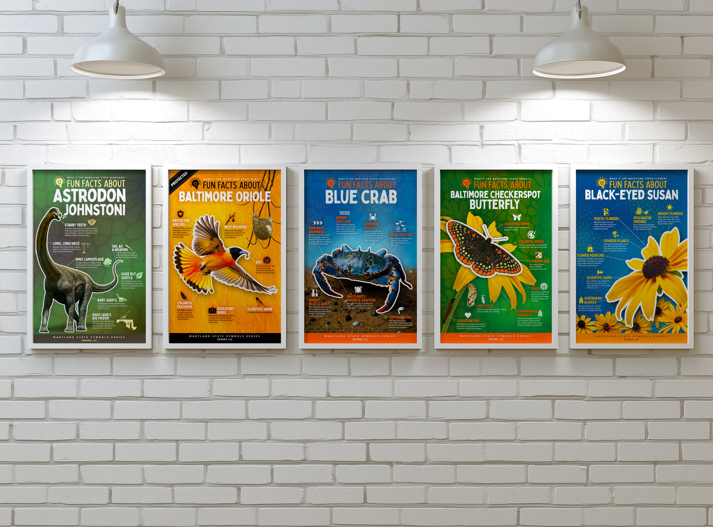 Nature, curiosity, and color—framed for your space.