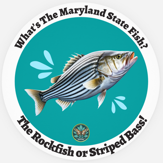 🐟 Rockfish (Striped Bass) Sticker (10-pack)